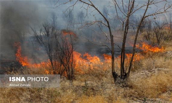 سفیدکوه خرم‌آباد دوباره در آتش سوخت
