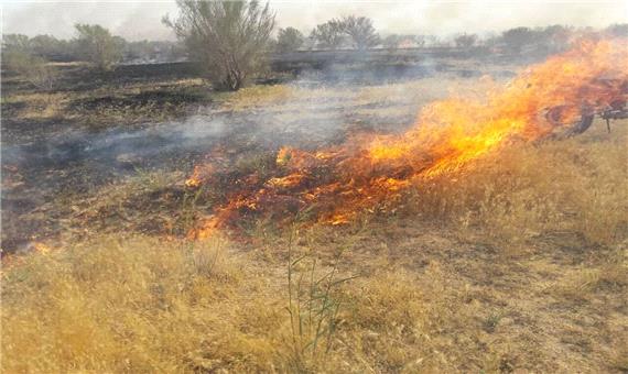 آتش‌سوزی در سفیدکوه خرم‌آباد؛ حریق عمدی است