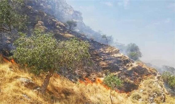 آتش‌سوزی منطقه حفاظت‌شده سفیدکوه خرم‌آباد مهار شد