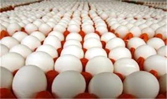 تولید تخم‌مرغ لرستان با مصرف همخوانی دارد؟