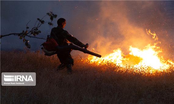 جنگل‌های پلدختر دچار آتش سوزی شد