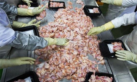 رشد 3 درصدی تولید گوشت مرغ در لرستان