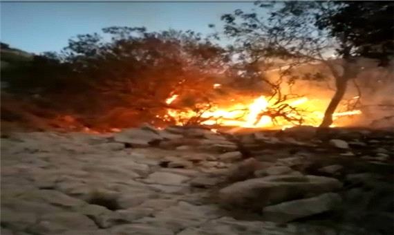 مهار آتش سوزی در منطقه حفاظت کشار