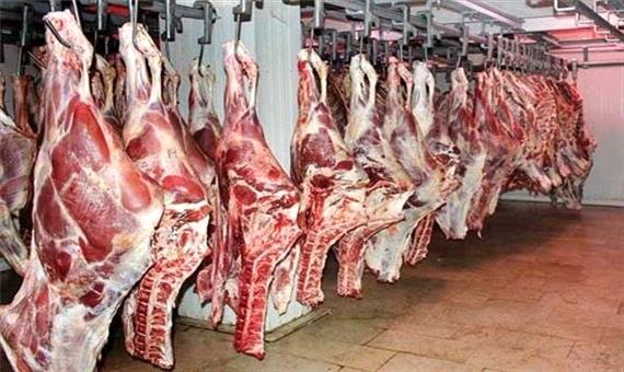 خرید تضمینی گوشت گوساله از بهره‌برداران و تولیدکنندگان لرستان