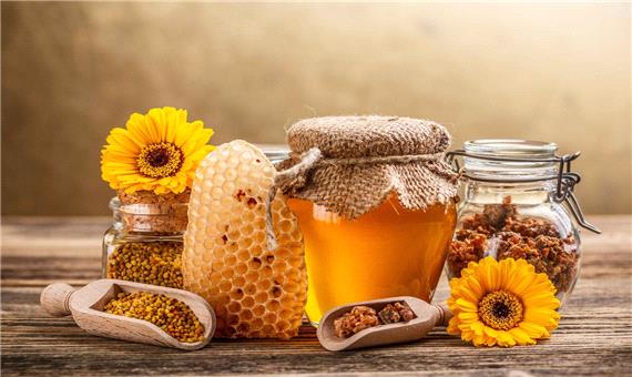 سالانه 2 هزار و 700 تن عسل در لرستان تولید می‌شود