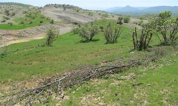 تثبیت بیش از 320 هزار هکتار اراضی ملی در لرستان
