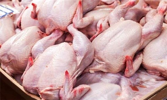 بیش از 1200 تن مرغ گرم از نیمه دوم بهمن وارد بازار خرم‌آباد می‌شود