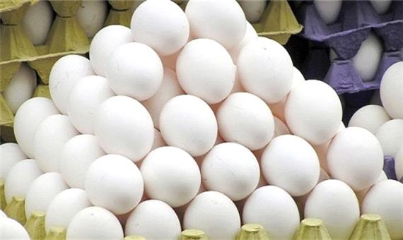 سالانه 7 هزار تن تخم مرغ در لرستان تولید می‌شود
