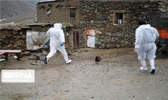 کانون آنفلوآنزای فوق حاد پرندگان در خرم‌آباد قرنطینه شد