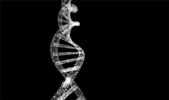 کشف 13 ژن جدید که در بروز آلزایمر نقش دارند