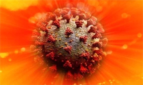 تحقیق جدید: نور خورشید ویروس کرونا را 8 برابر سریع‌تر از آنچه تصور می‌شد خنثی می‌کند