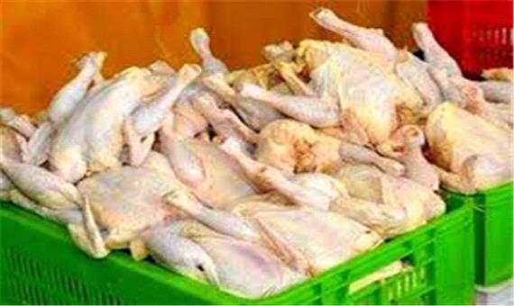 10 هزار و 500 کیلوگرم مرغ گرم در بازار سلسله توزیع شد