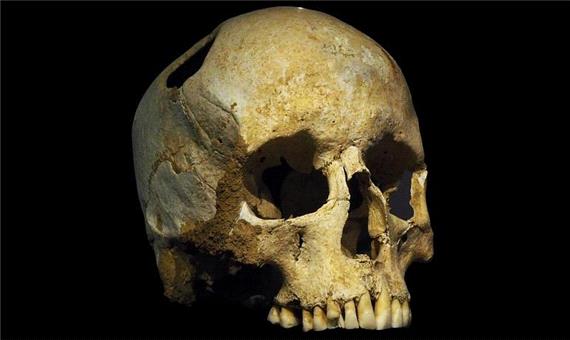 بازسازی قدیمی‌ترین ژنوم انسان مدرن با استفاده از جمجمه زن 45 هزار ساله