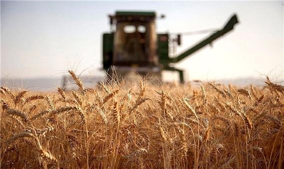 قیمت خرید گندم در لرستان اعلام شد
