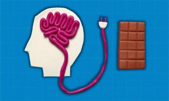 کشف مکانیسم "سوئیچ گرسنگی" در مغز/ امید برای درمان چاقی و لاغری مفرط