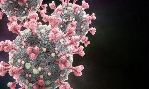 ابتلای 548 مورد جدید به کرونا ویروس و 10 فوتی در لرستان