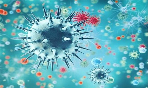 ابتلای 295 مورد جدید به کرونا ویروس و دو فوتی در لرستان