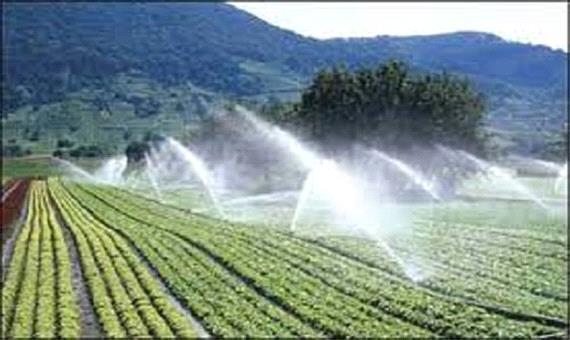 کشت محصولات آب‌ دوست در کوهدشت ممنوع شد