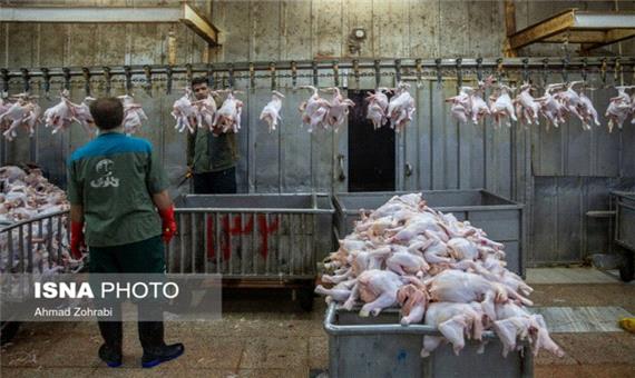 مرغ با کارت ملی در استان لرستان عرضه می‌شود +فیلم