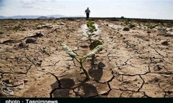 دستان خالی کشاورزان لرستانی در روزهای خشکسالی/ محصولی که در نبود حمایت ضایع می‌‌شود