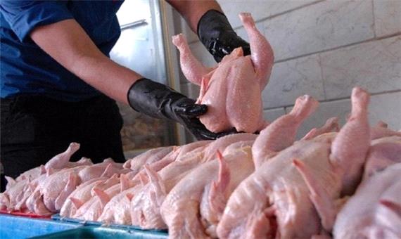 تولید روزانه 190 تن مرغ در لرستان