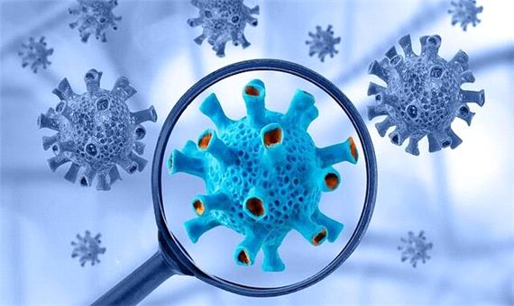 ابتلای 835 نفر به کرونا ویروس و چهار فوتی در لرستان