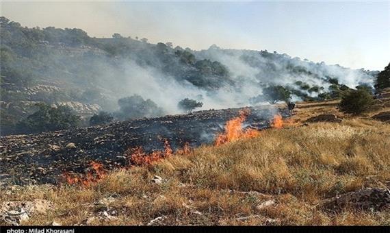 خشکسالی و گرمای هوا علت احتمالی آتش‌سوزی در هایقر فارس؛ 200 هکتار از مراتع سوخت