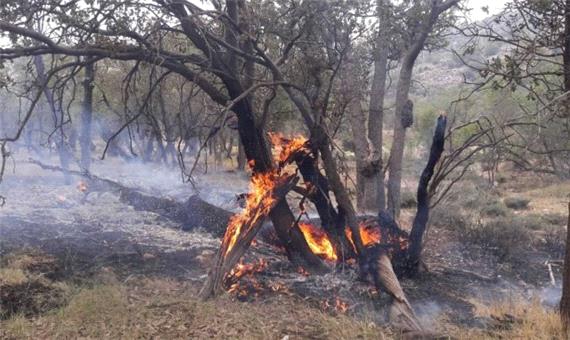 5 نفر طُعمه آتش سوزی منطقه هایقر فیروزآباد شدند