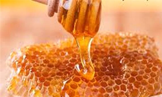 تولید سالانه 2800 تن عسل در لرستان