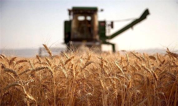 تامین گندم مورد نیاز لرستان از بندر امام خمینی (ره)