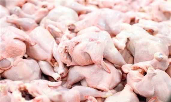 یکهزار تن گوشت مرغ در لرستان ذخیره‌سازی می‌شود